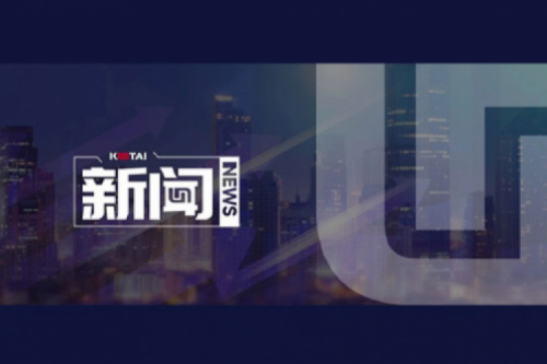 AI驱动新增长，扣非净利提升10%，kaiyun开云数码2025一季度稳健开局